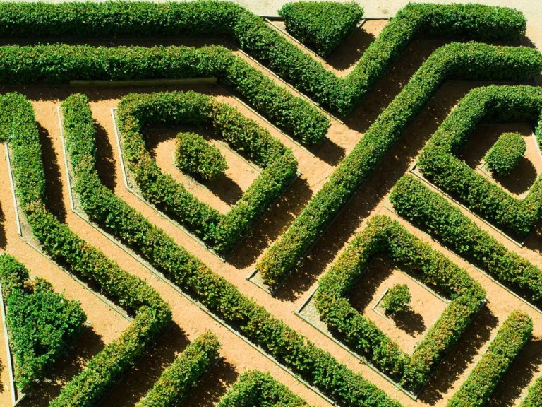 Pourquoi l'élagage des arbres est essentiel pour la sécurité des avions
