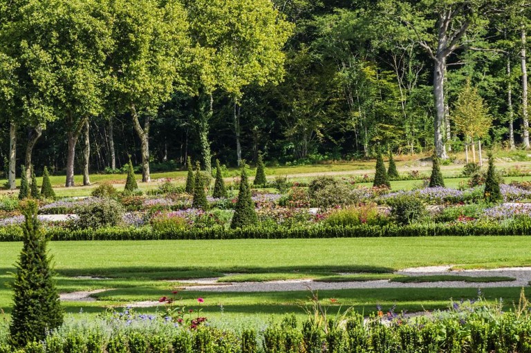 Taille de haies : les erreurs à éviter pour votre jardin